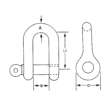 Schäkel Edelstahl AISI 316 poliert  gerade (D) - 8mm